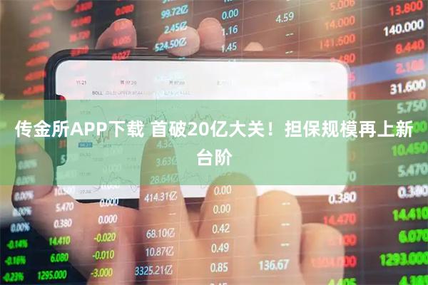 传金所APP下载 首破20亿大关！担保规模再上新台阶