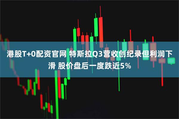 港股T+0配资官网 特斯拉Q3营收创纪录但利润下滑 股价盘后一度跌近5%