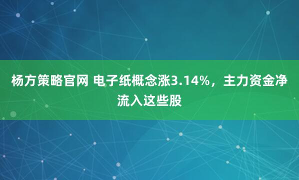 杨方策略官网 电子纸概念涨3.14%，主力资金净流入这些股
