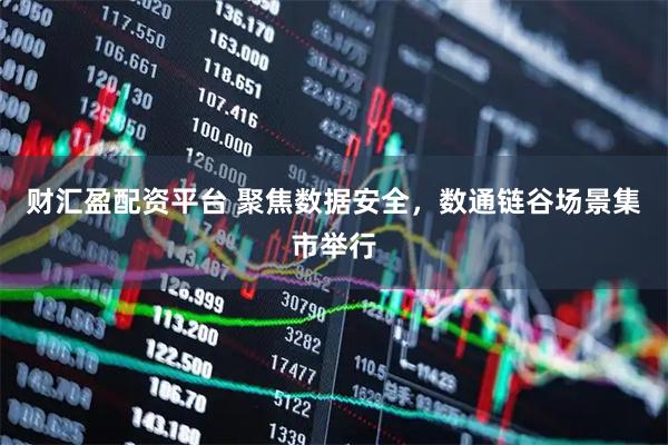 财汇盈配资平台 聚焦数据安全，数通链谷场景集市举行